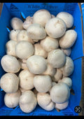 Button Mushrooms Large