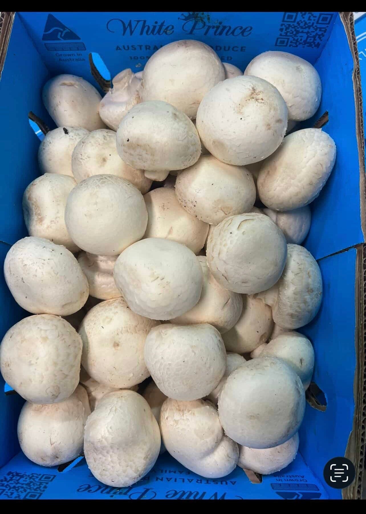 Button Mushrooms Large