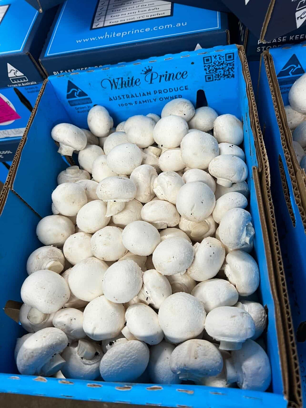 Button Mushrooms Medium
