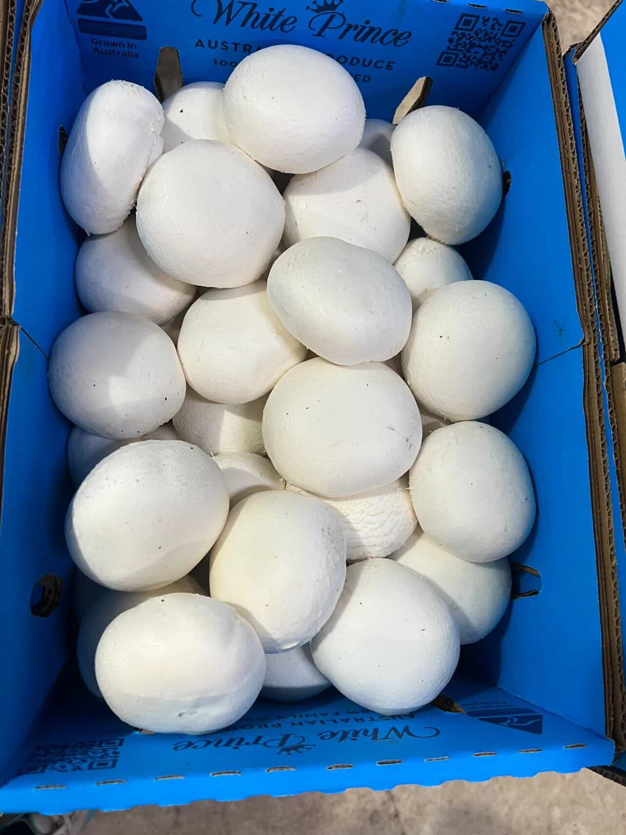 Premium Button Mushrooms | SYD