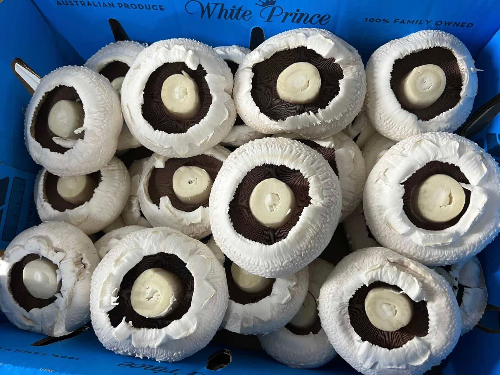 Fresh Flat Mushrooms | Portobello Style