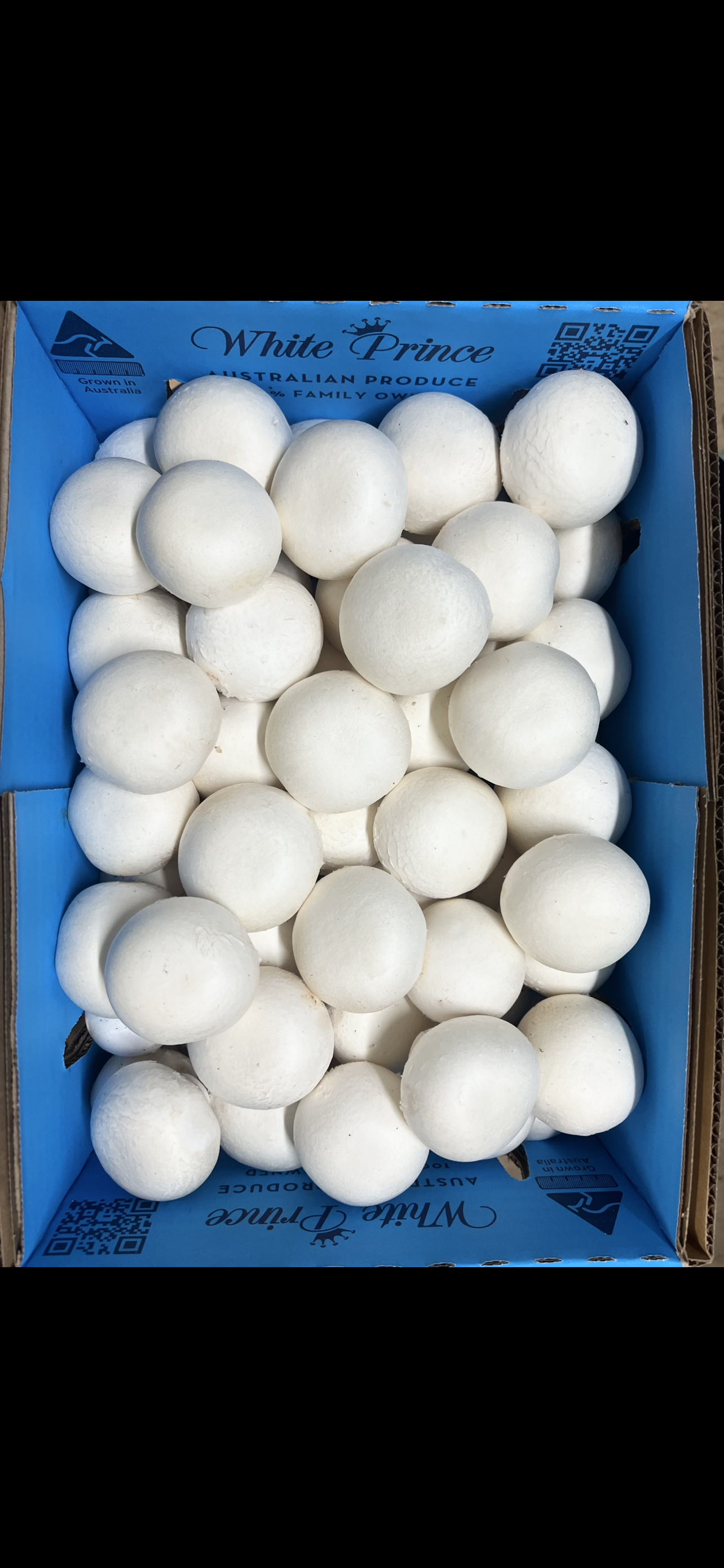 Premium Button Mushrooms | SYD
