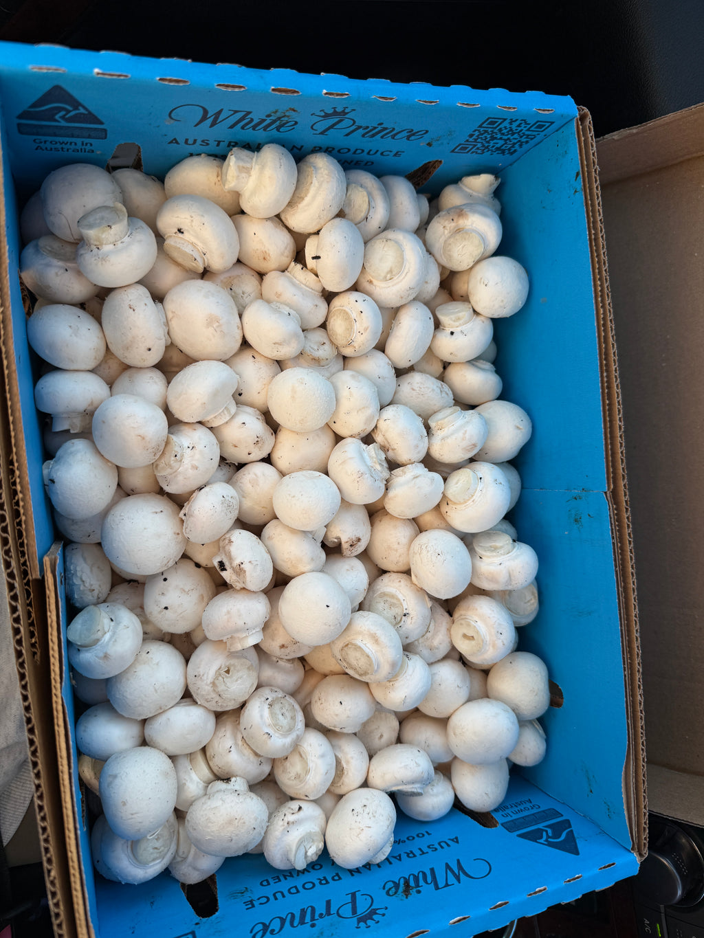 Button Mushroom Small
