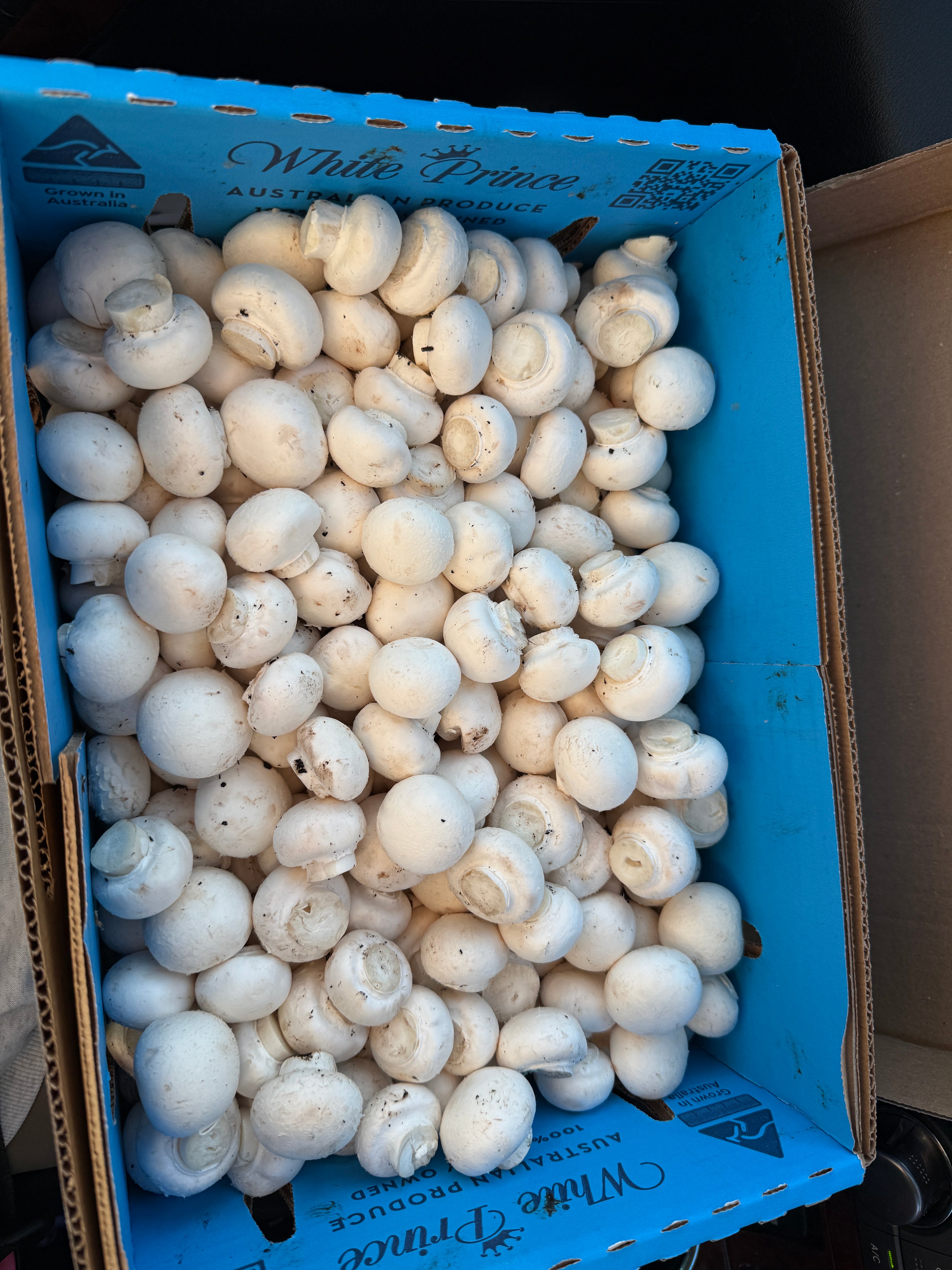 Button Mushroom Small