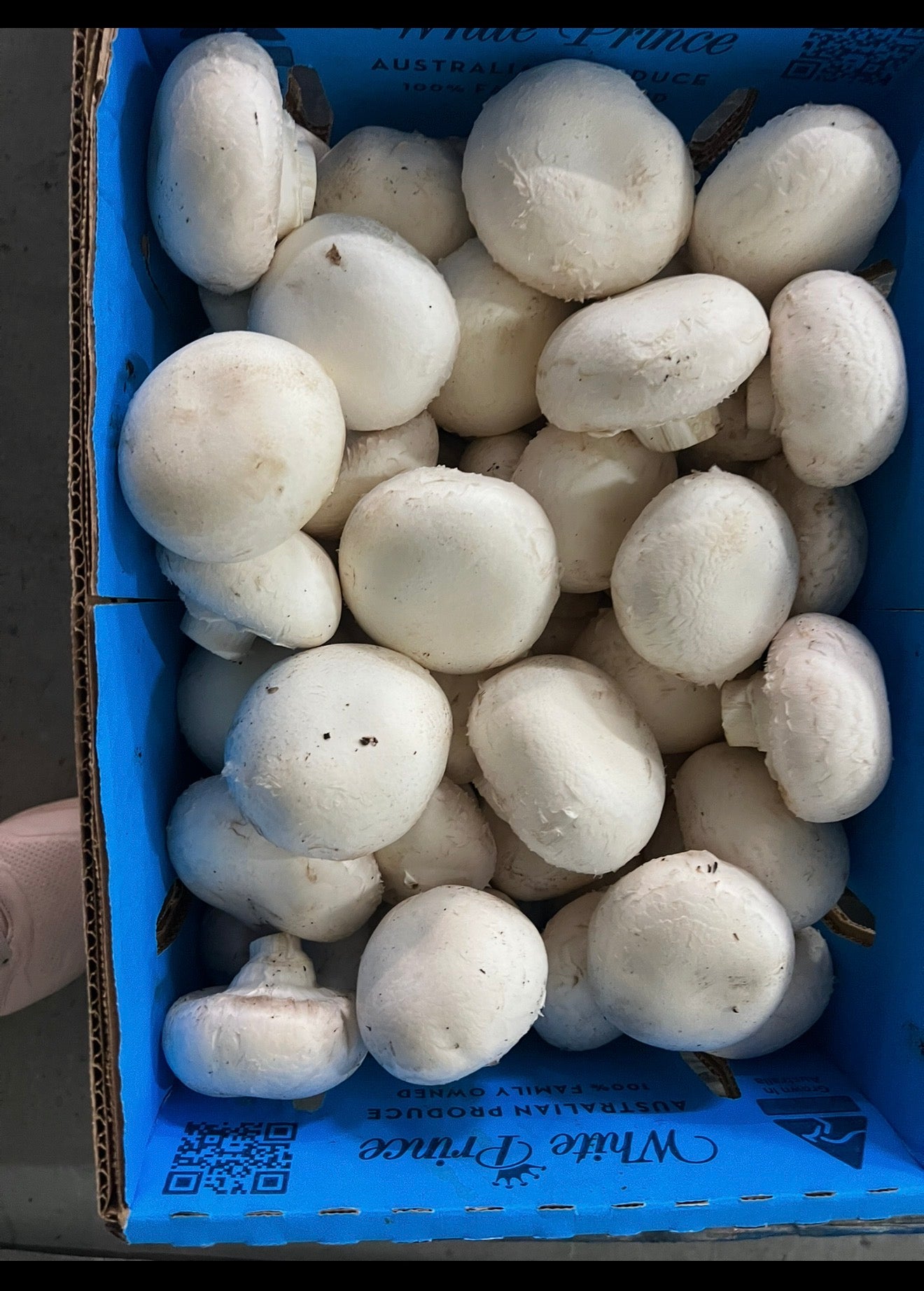 Budget Friendly Box