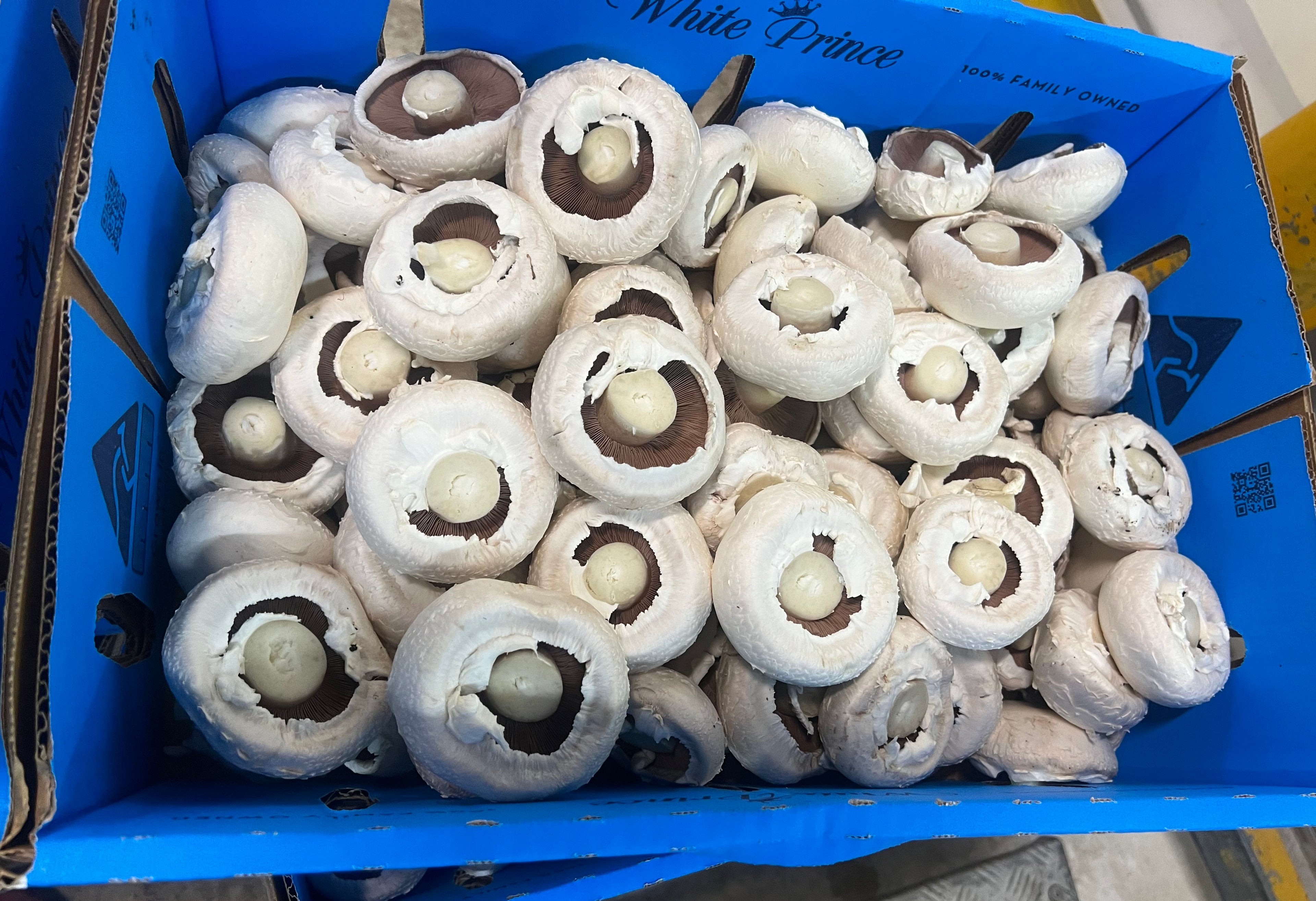 Portobello Mushrooms G2