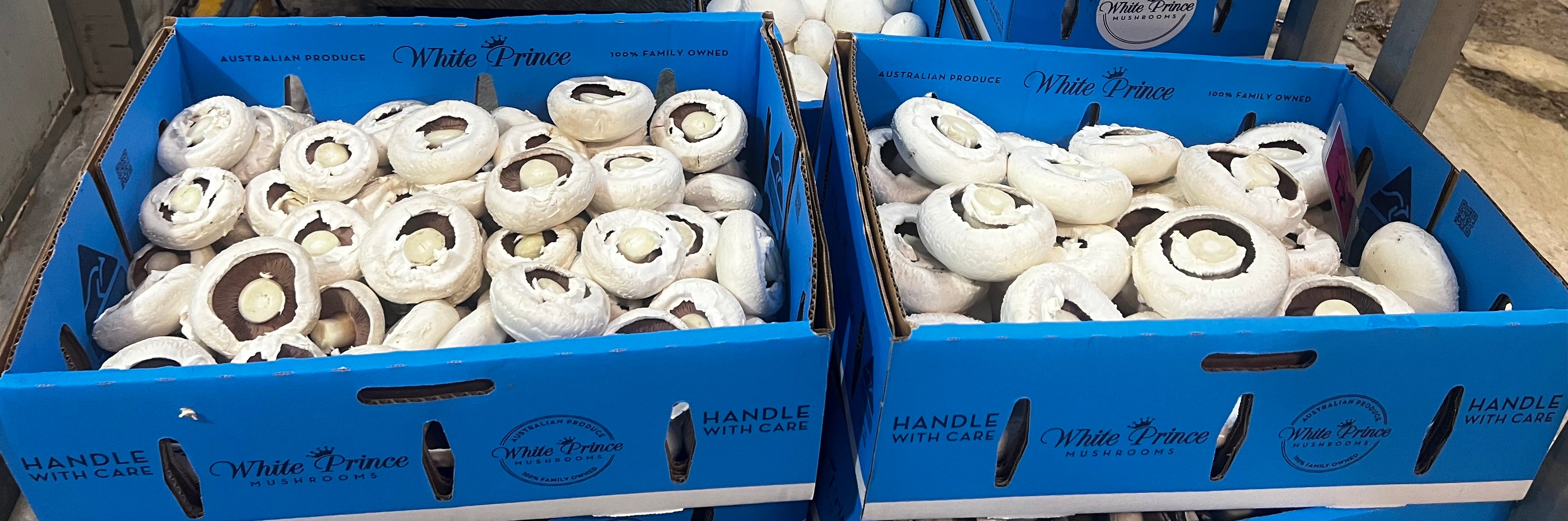Fresh Flat Mushrooms | Portobello Style