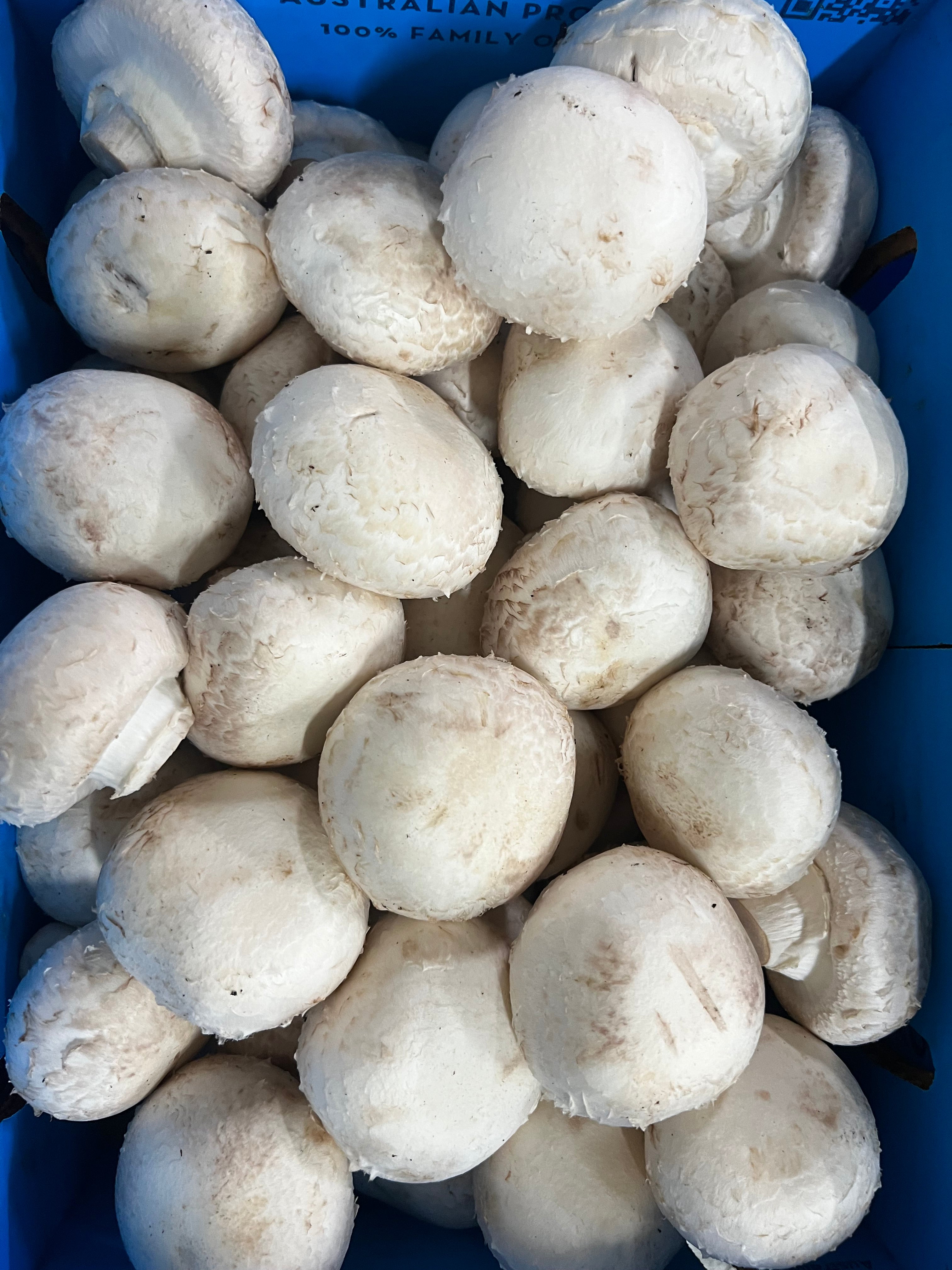 Button Mushrooms Large G3