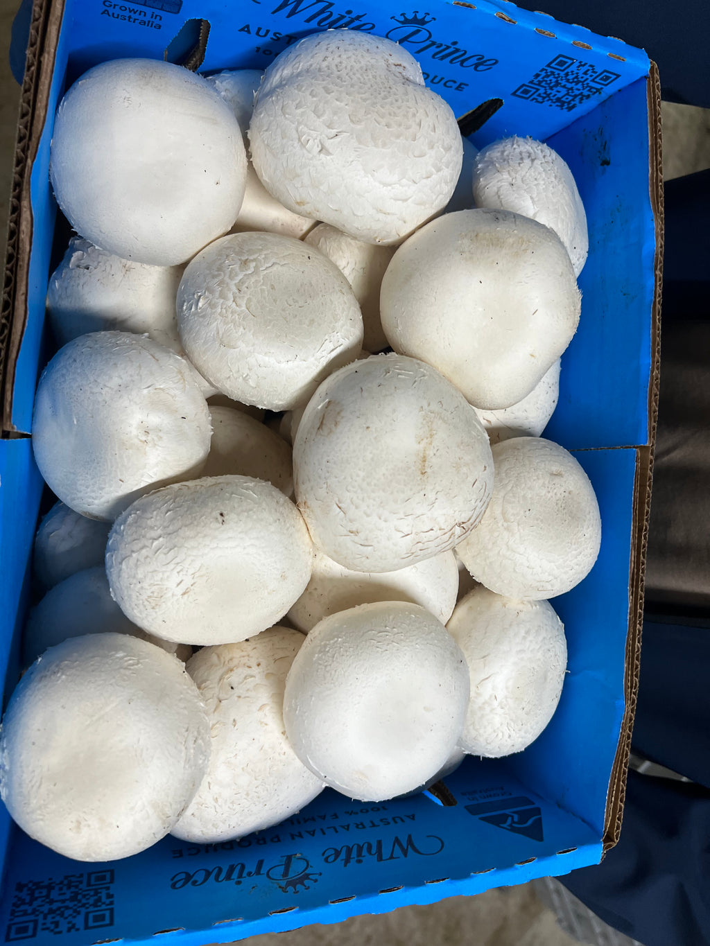 Button Mushrooms Large