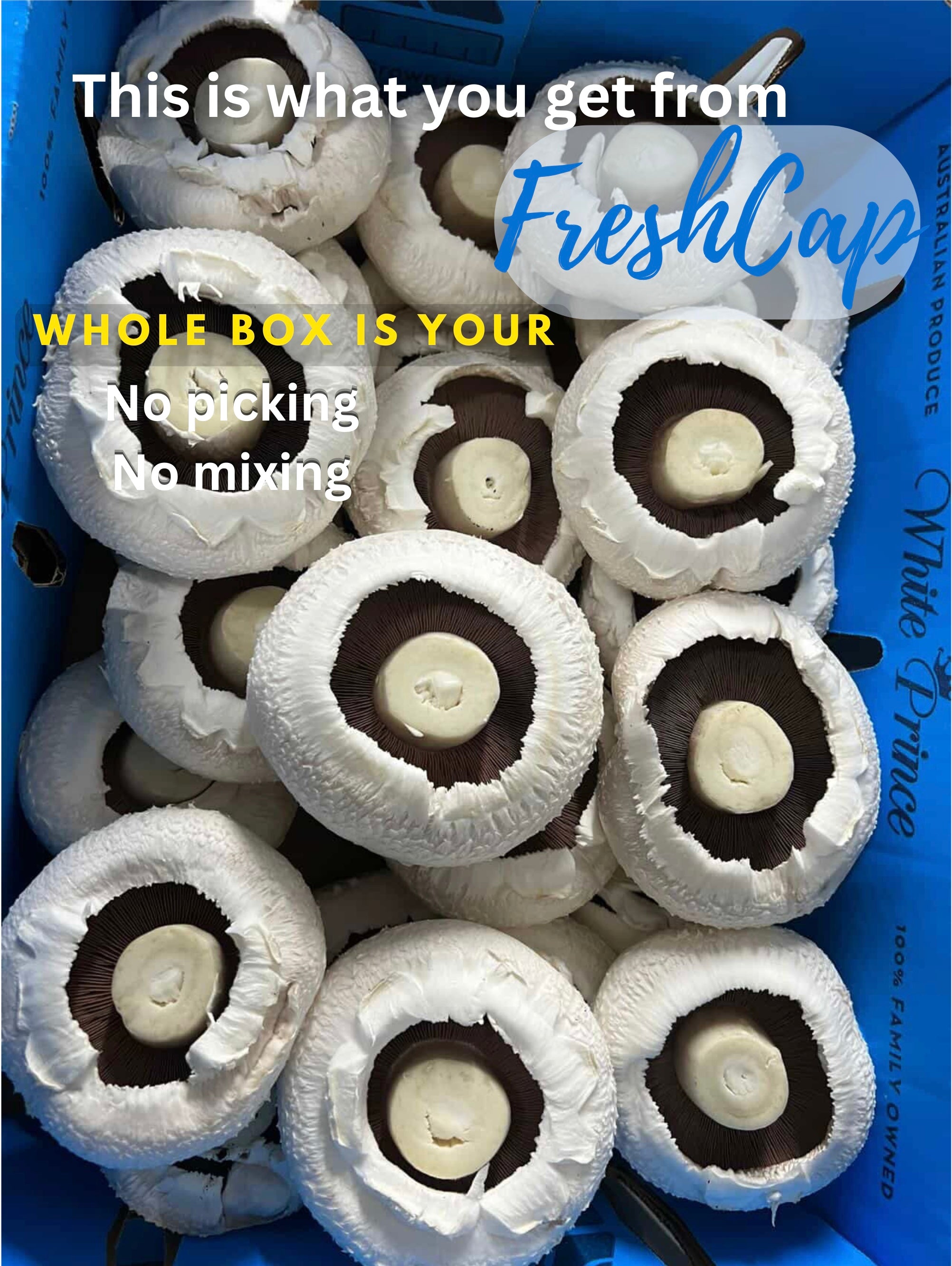Fresh Flat Mushrooms | Portobello Style