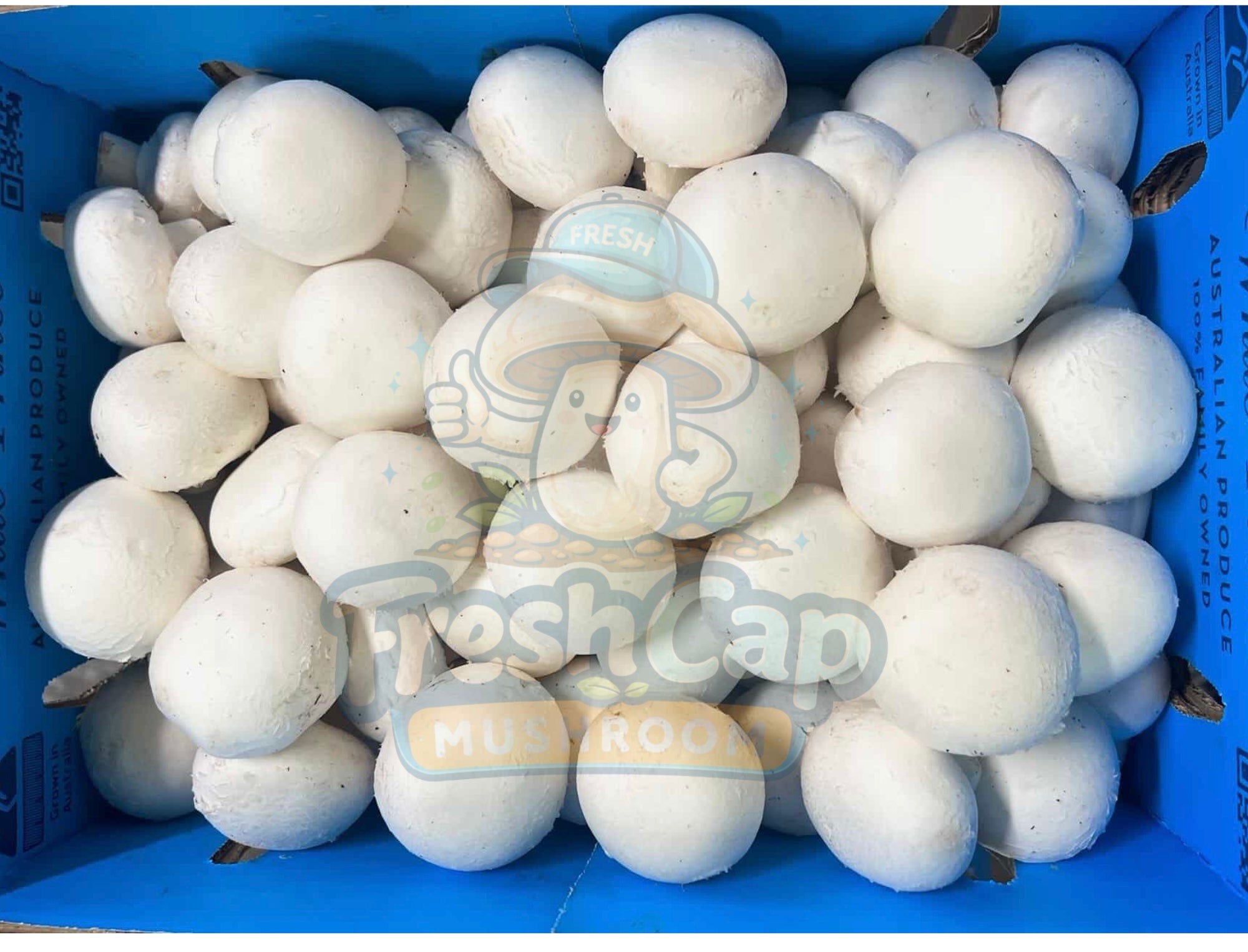 Premium Button Mushrooms | SYD