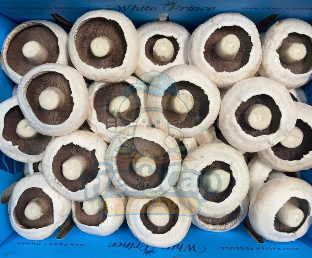Fresh Flat Mushrooms | Portobello Style