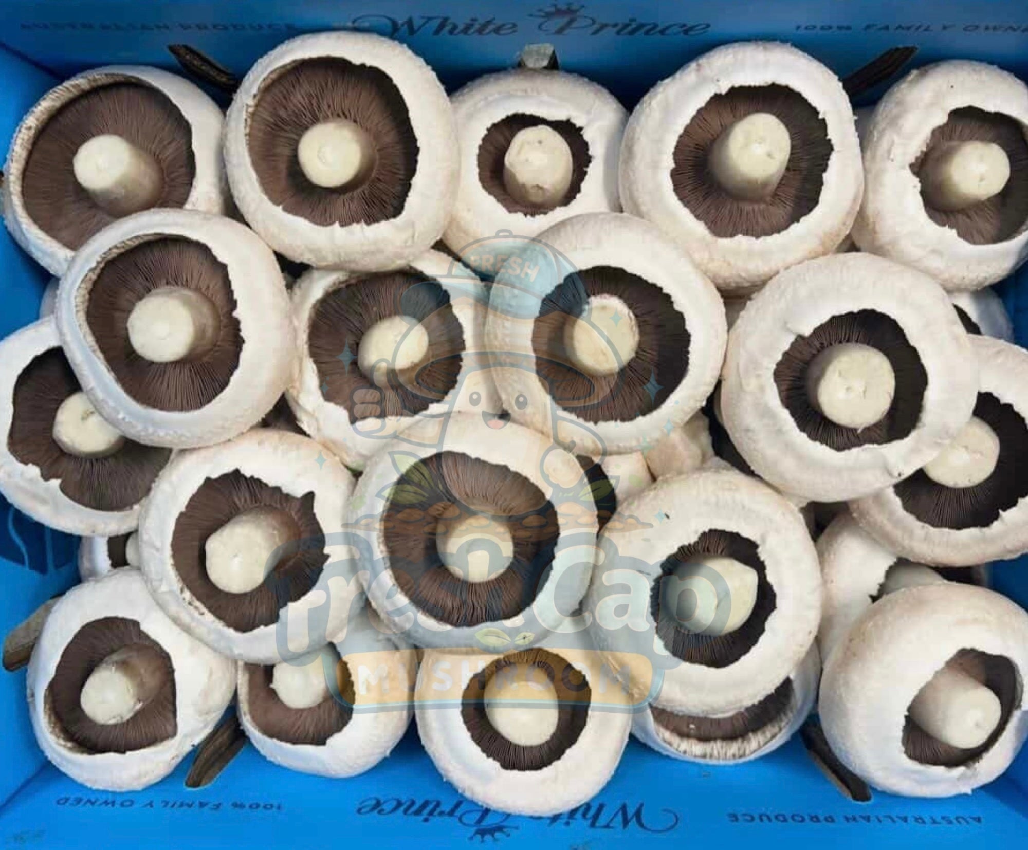 Fresh Flat Mushrooms | Portobello Style